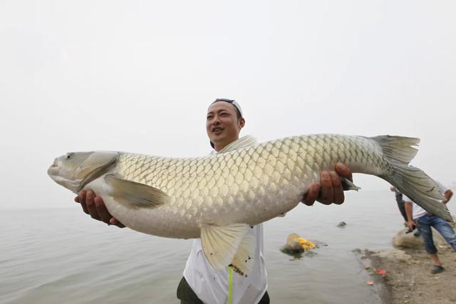 釣界黃曉明 野釣營中的非凡實力與魅力