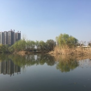 灃河老鐵野釣營(yíng) 心靈與自然的垂釣之旅
