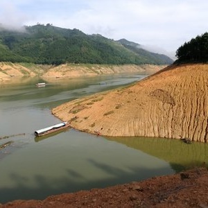 萬峰湖野釣集中營 垂釣者的秘境與野趣樂園