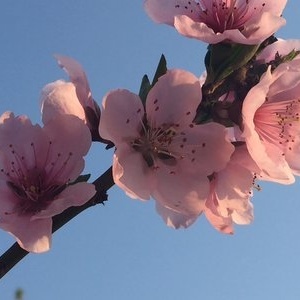 灃河老鐵野釣營(yíng) 探秘自然與垂釣的和諧樂(lè)章