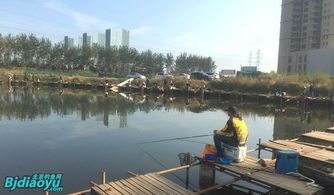 北京釣魚野趣 野釣營(yíng)，垂釣愛(ài)好者的天堂