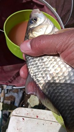 野釣班定營(yíng) 一路走來(lái)，不虛此行